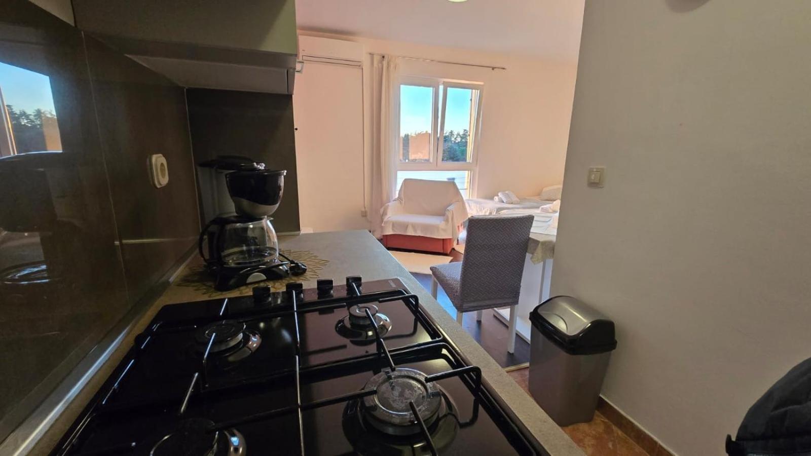 Studio Apartment Ljubica For 2 Persons 150M From The Beach Poreč Kültér fotó